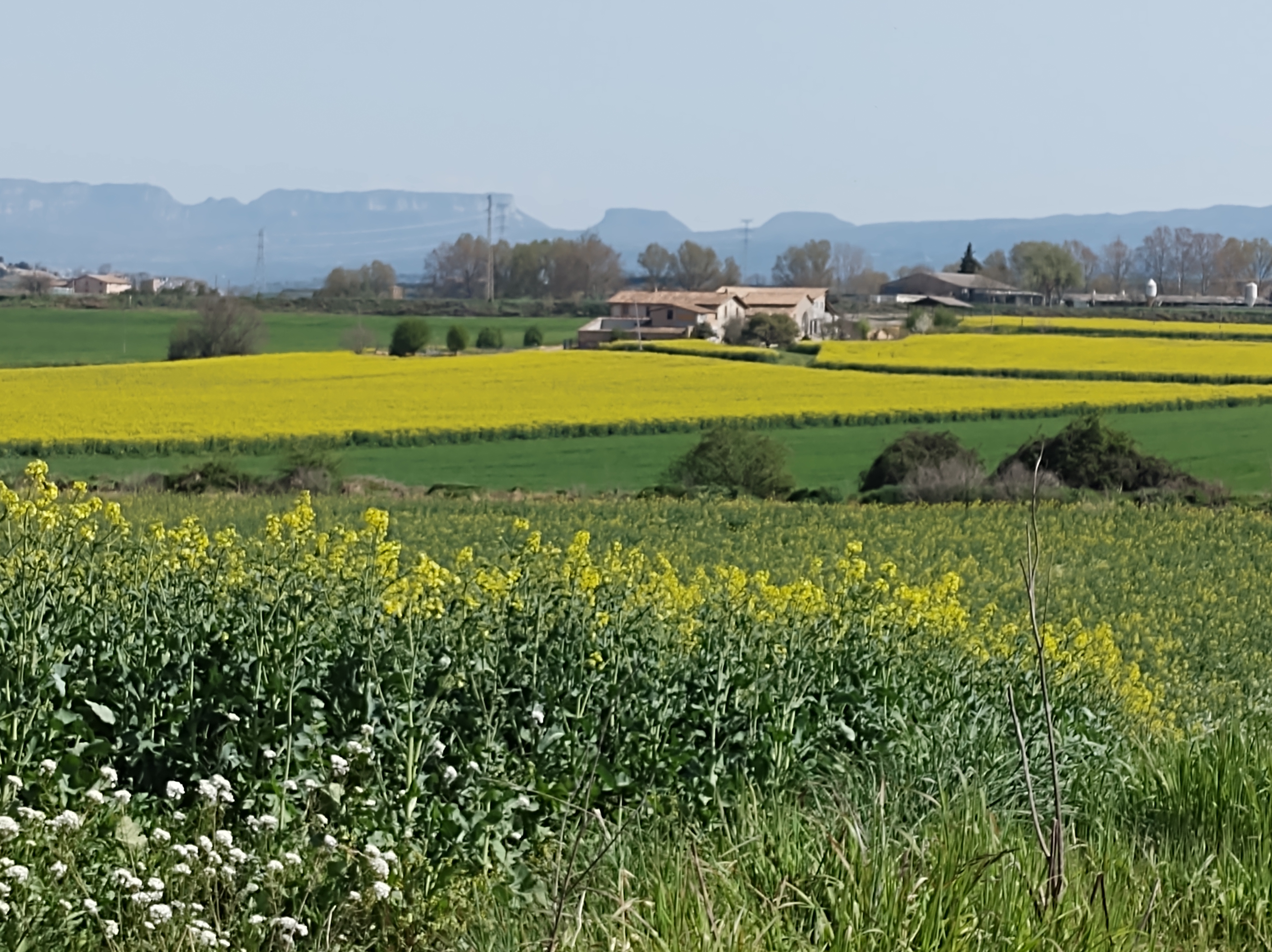 No s'ha trobat l'arxiu